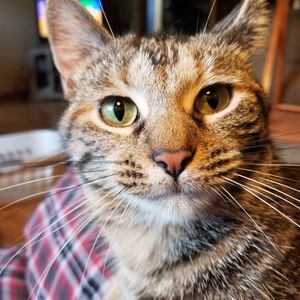 Meet your Posher, Allyson